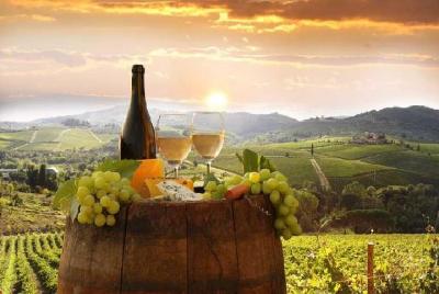 Private tour from Livorno port to Chianti Wine Region Private tour from Livorno port to Chianti Wine Region