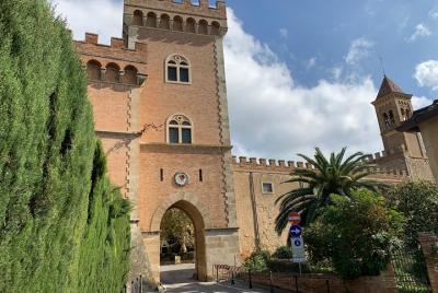 Bolgheri Wine Tour from Livorno  Bolgheri Wine Tour from Livorno