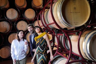 Bolgheri: "CLASSIC" Winery Tour with Wine Tasting Bolgheri: