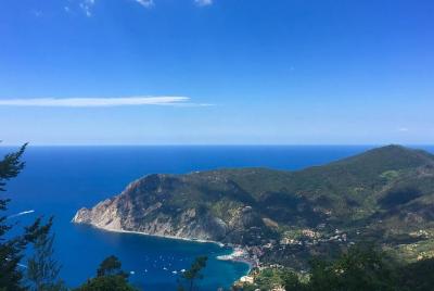 Cinque Terre Private Tour from Lucca