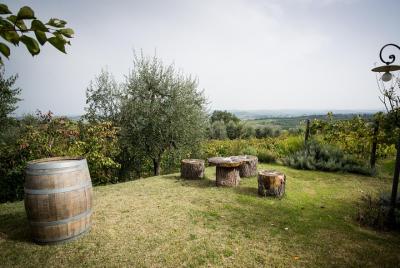 Wine Tour Experience at Agricola Tamburini Wine Tour Experience at Agricola Tamburini