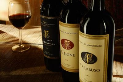 Bolgheri: "PREMIUM" Winery Tour with Wine Tasting Bolgheri:
