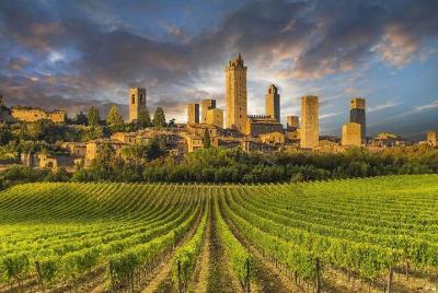 Wine Tasting & Tuscany Countryside including San Gimignano & Volterra Wine Tasting & Tuscany Countryside including San Gimignano & Volterra