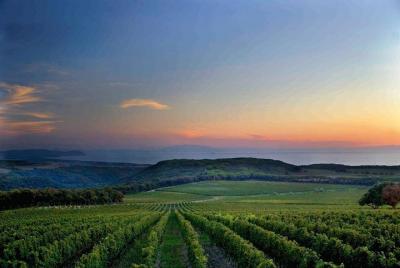 Tuscany wine tasting: appetizer and lunch on hillside Tuscany wine tasting: appetizer and lunch on hillside