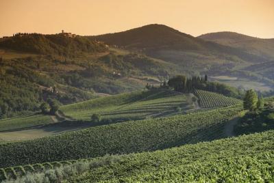 Private wine tour with lunch in Chianti Classico (2 wineries) Private wine tour with lunch in Chianti Classico (2 wineries)