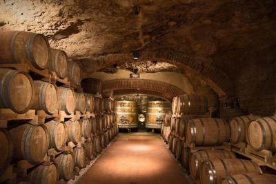 Chianti 2 Winery Shopping, Private Tour from Forte Dei Marmi