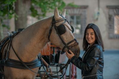 Carriage tour in the historic center of Lucca Carriage tour in the historic center of Lucca
