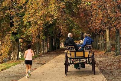 Carriage tour on the Renaissance walls of Lucca Carriage tour on the Renaissance walls of Lucca