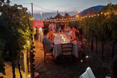 Aperitif / Tasting in a Vineyard of Lucca with transfer Aperitif / Tasting in a Vineyard of Lucca with transfer