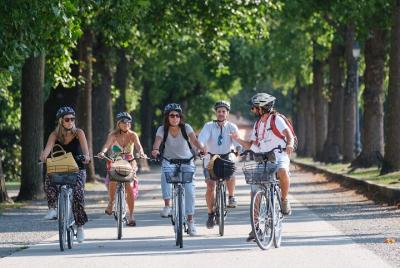 Lucca Bikes and Bites with food tastings for Small Groups or Private Lucca Bikes and Bites with food tastings for Small Groups or Private