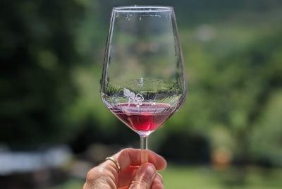 Biking to the Valley of the Wine Biking to the Valley of the Wine