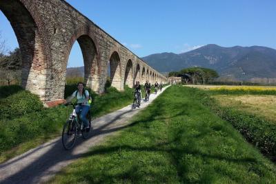 Lucca to Pisa Private Cycling tour  Lucca to Pisa Private Cycling tour