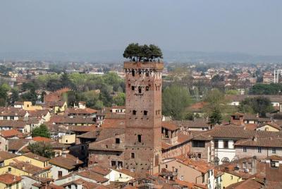 Private Transfer: Civitavecchia Port to Lucca or vice versa Private Transfer: Civitavecchia Port to Lucca or vice versa