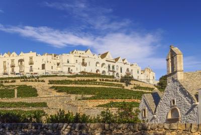 Alberobello and Locorotondo departing from Matera Alberobello and Locorotondo departing from Matera