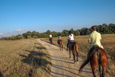 Murgia Park: Horse riding tour Murgia Park: Horse riding tour