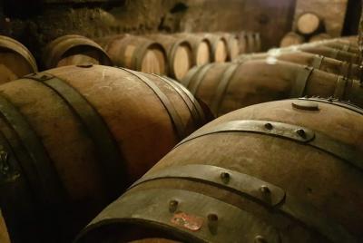 Venosa, an ancient Roman colony and city of Aglianico wine Venosa, an ancient Roman colony and city of Aglianico wine