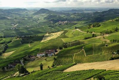 4-Days Wonderful Piedmont Tour from Milan