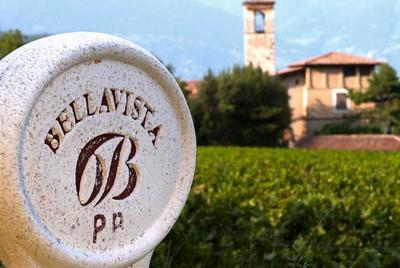 Wine Tour in Franciacorta from Milan