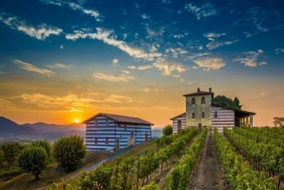 Franciacorta Wine-Tasting and Fashion Tour from Milan