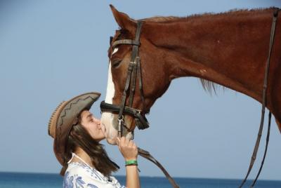 Excursions 2 hours horse and camel riding - Hurghada