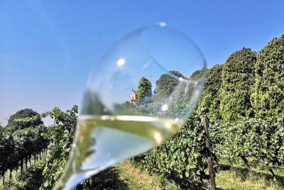 Cellar tour & wine tasting, private guided tour, from Milan