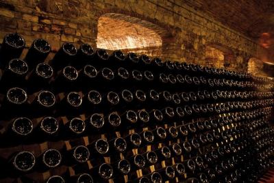 Top Sparkling Tour: Private Day Trip from Milan to Discover Franciacorta Wine and Wineries