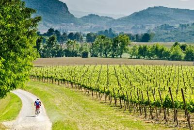 Private Day Tour with Lunch in Franciacorta