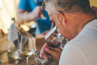 Piedmont and Barolo Wine Tour from Milan