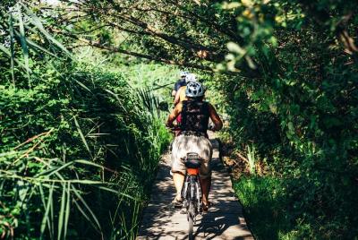 Milan Urban Woods eBike Tour