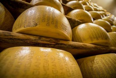 Parmigiano Reggiano cheese factory Tour and Tasting for small groups Parmigiano Reggiano cheese factory Tour and Tasting for small groups