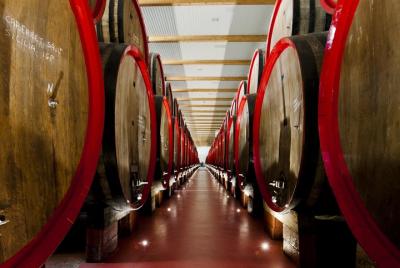 DOP Balsamic Vinegar, DOP Parmigiano Reggiano Cheese, Lambrusco Wine&Sport Cars DOP Balsamic Vinegar, DOP Parmigiano Reggiano Cheese, Lambrusco Wine&Sport Cars