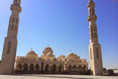 VIP City Tour With Sea Food Lunch Live Guide and Private transpor