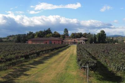 Visit and wine tasting at Cleto Chiarli