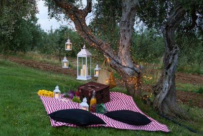 Pic Nic in the charming Tuscan Olive Grove Pic Nic in the charming Tuscan Olive Grove