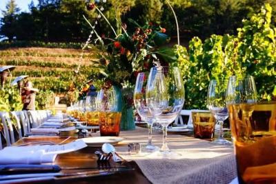 Enjoy a meal with wine tasting in the vineyard of Podere Casanova Enjoy a meal with wine tasting in the vineyard of Podere Casanova
