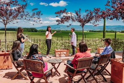 Montepulciano area: Exclusive Winery Tour & Tasting Experience Montepulciano area: Exclusive Winery Tour & Tasting Experience