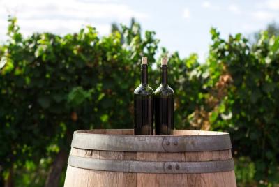 Montepulciano Wine Tour: a trip to the land of the Nobile Montepulciano Wine Tour: a trip to the land of the Nobile