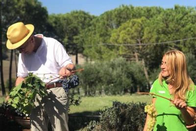 Exclusive Wine Tasting in Montepulciano with Light Lunch