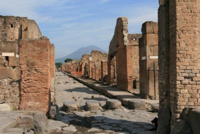 Full-Day Tour in Pompeii, Herculaneum and Vesuvius from Naples Full-Day Tour in Pompeii, Herculaneum and Vesuvius from Naples