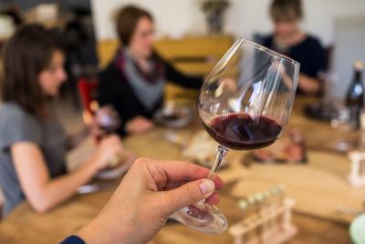 Professional 6 Wines Tasting with Regional Appetizers in a Local’s home - Naples