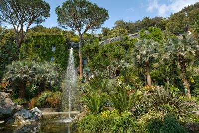 Guided tour of La Mortella Gardens Guided tour of La Mortella Gardens