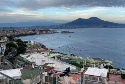 Private Half-Day Sightseeing Tour of Vesuvius National Park Private Half-Day Sightseeing Tour of Vesuvius National Park