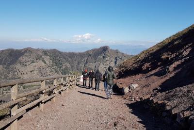 Vesuvius: Half Day Trip from Naples  Vesuvius: Half Day Trip from Naples