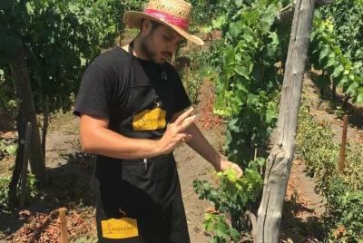 Hiking the stratovolcano Mt. Vesuivius with a wine tour (Intriguing Tour) Hiking the stratovolcano Mt. Vesuivius with a wine tour (Intriguing Tour)