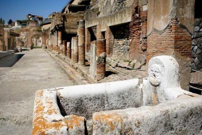 Pompeii Ruins: Day Trip from Naples