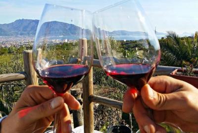 Wine Tasting - Tour and Tasting in Vesuvius Winemaker
