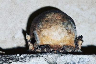 The Skull with the Ears: the Cult of the Dead in the Church of S. Luciella The Skull with the Ears: the Cult of the Dead in the Church of S. Luciella