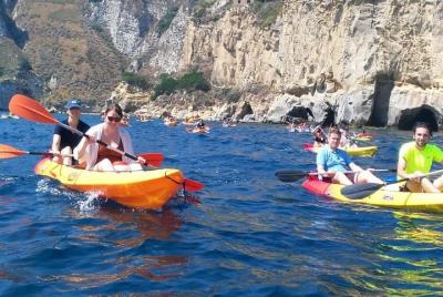 Wild Naples Kayak Tour Wild Naples Kayak Tour