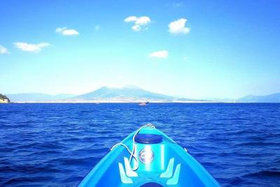 Wild Naples Kayak Experience Wild Naples Kayak Experience