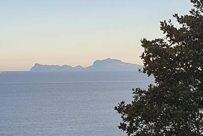 Naples Shore Excursion: Capri Day Trip with Lunch from Naples Naples Shore Excursion: Capri Day Trip with Lunch from Naples